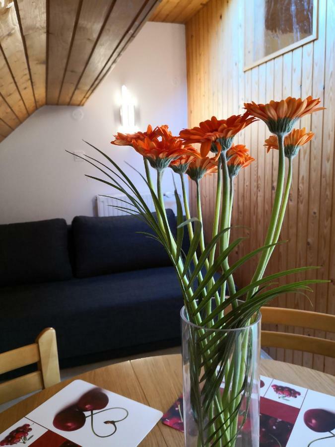 Apartment Silic