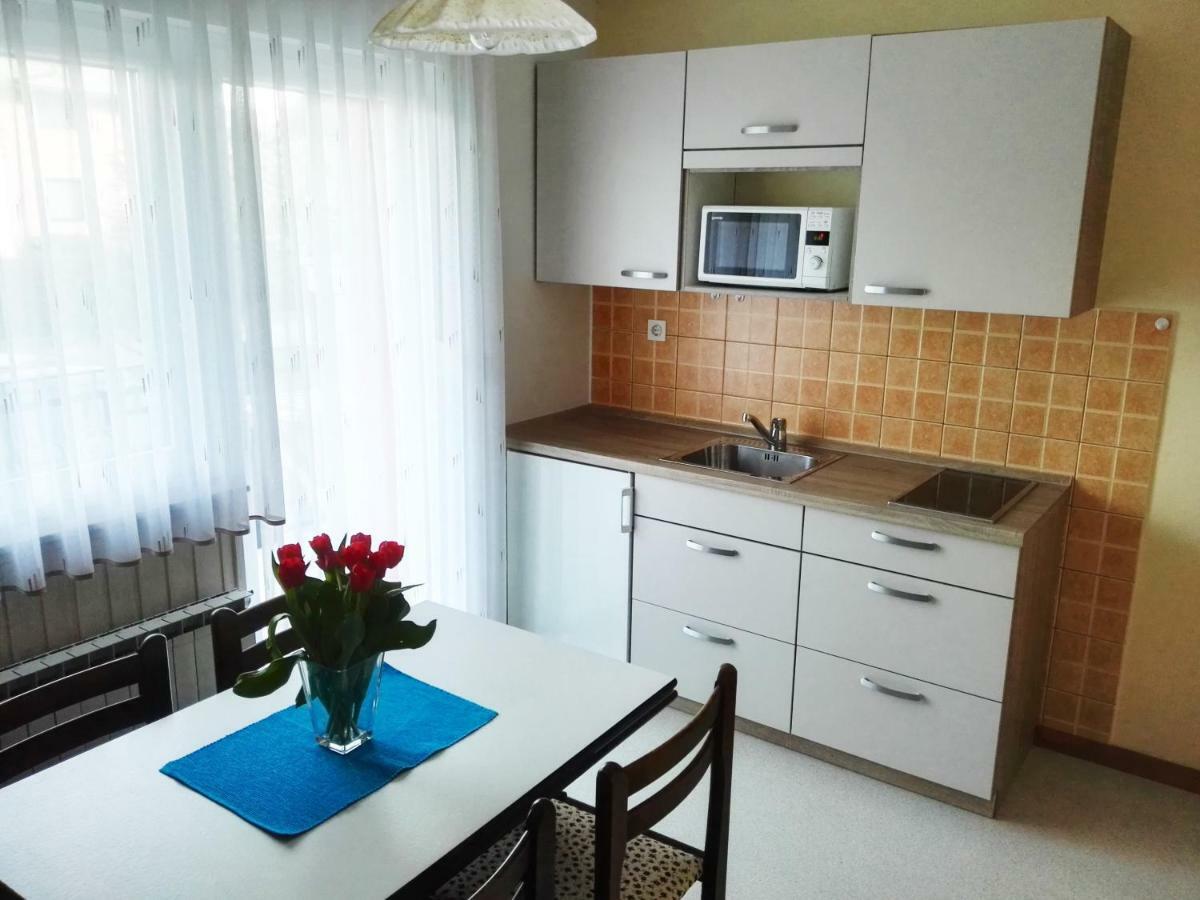Silic Apartment *